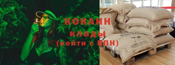 гашик Липки