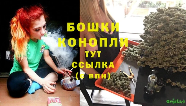 гашик Липки