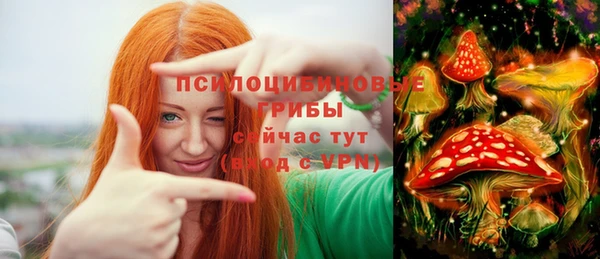 дурь Лихославль