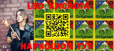 прущие крисы Будённовск