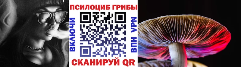 Псилоцибиновые грибы Magic Shrooms ссылка на мегу как войти Зеленодольск