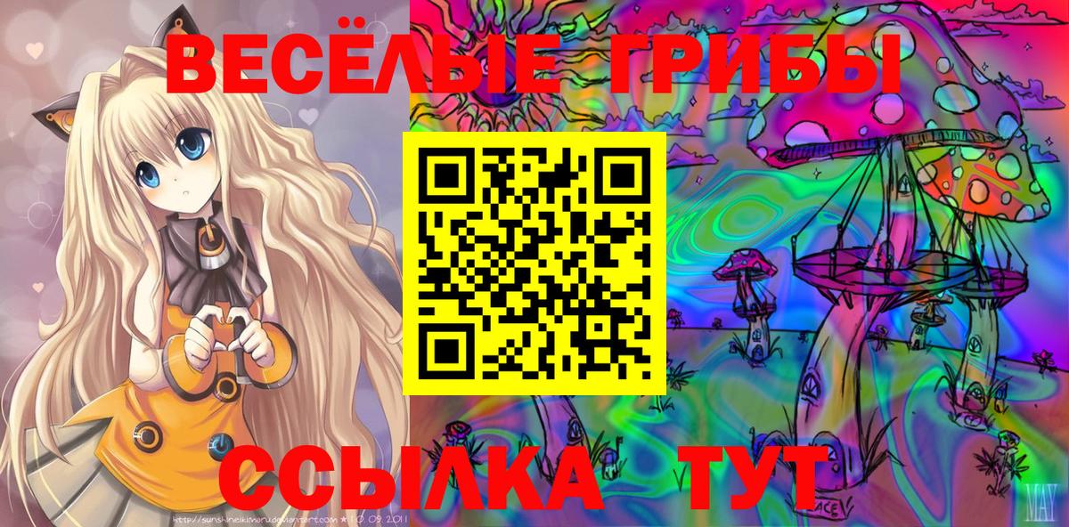 Псилоцибиновые грибы GOLDEN TEACHER Зеленодольск