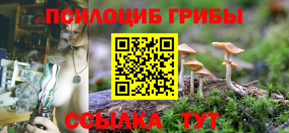 Зеленодольск  как найти   Вход с VPN  Галлюциногенные грибы мицелий  Псилоцибиновые грибы MAGIC MUSHROOMS 