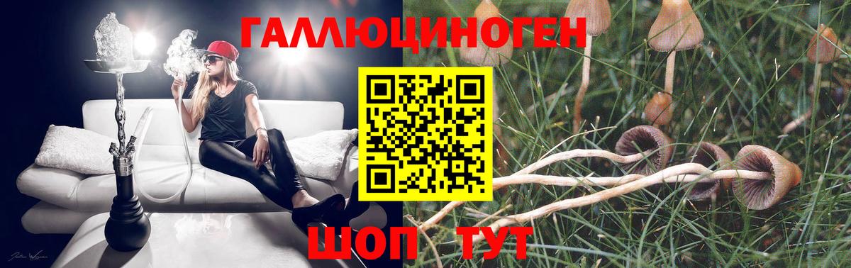 Псилоцибиновые грибы Magic Shrooms  Зеленодольск  Псилоцибиновые грибы MAGIC MUSHROOMS 