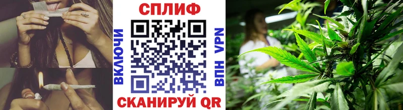 где можно купить   Зеленодольск  Марихуана Bruce Banner 