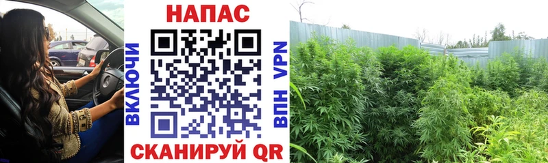 МАРИХУАНА LSD WEED Зеленодольск